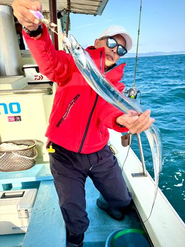 タチウオの釣果