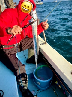 タチウオの釣果