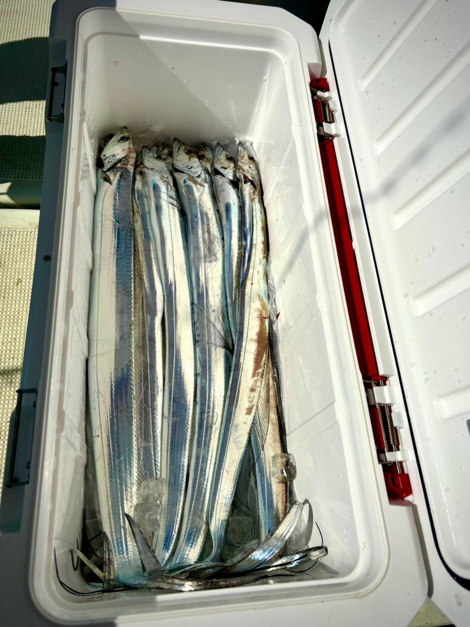 メガバス　サーベリスト　SA-63L メガバス (Megabass)SABERIST (サーベリスト) - WindySide