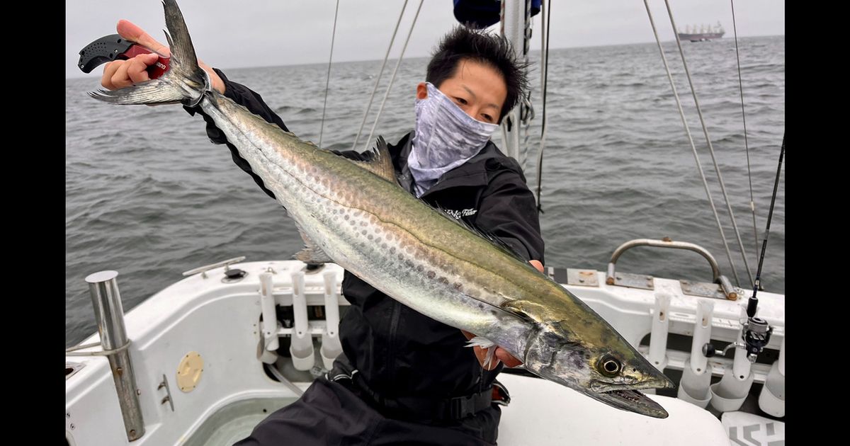 sa saさんの釣果 1枚目の画像