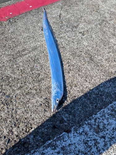 ハッピーフィッシング直江津港第3東防波堤管理釣り場