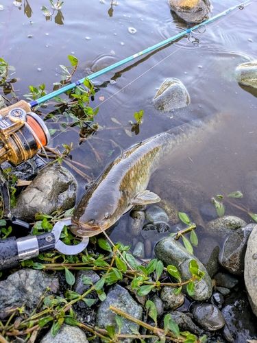 海老名運動公園