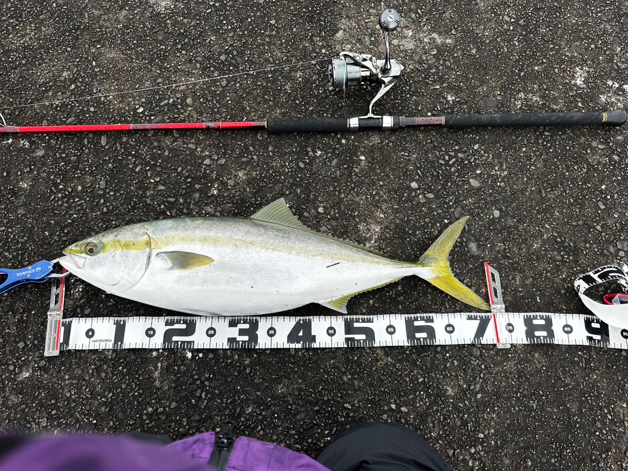 WORLD SHAULA BG 21055R-3 美品！ Continued [WORLD SHAULA BG] World Shaula BG 21055R-3 Complete