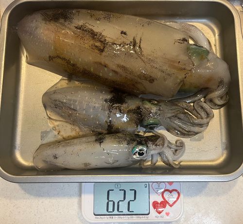 アジュール舞子