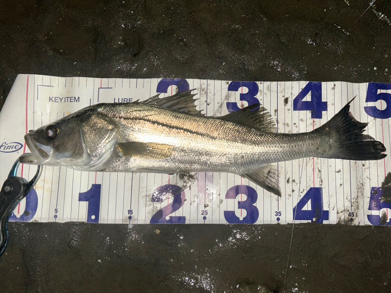 Gクラフト　セブンセンス　ミッドナイトモンスター　mms-992-tr ジークラフト セブンセンスTR ミッドナイトモンスター MMS-992-TR