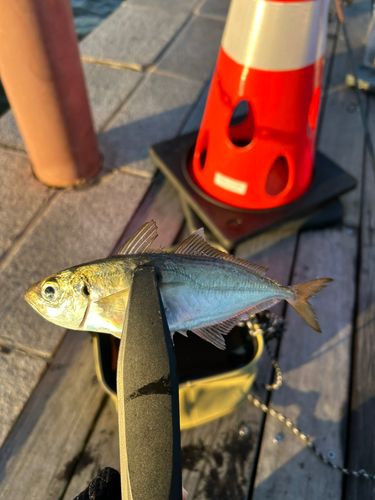 小名浜港アクアマリンふくしま周辺