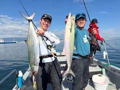 サワラの釣果