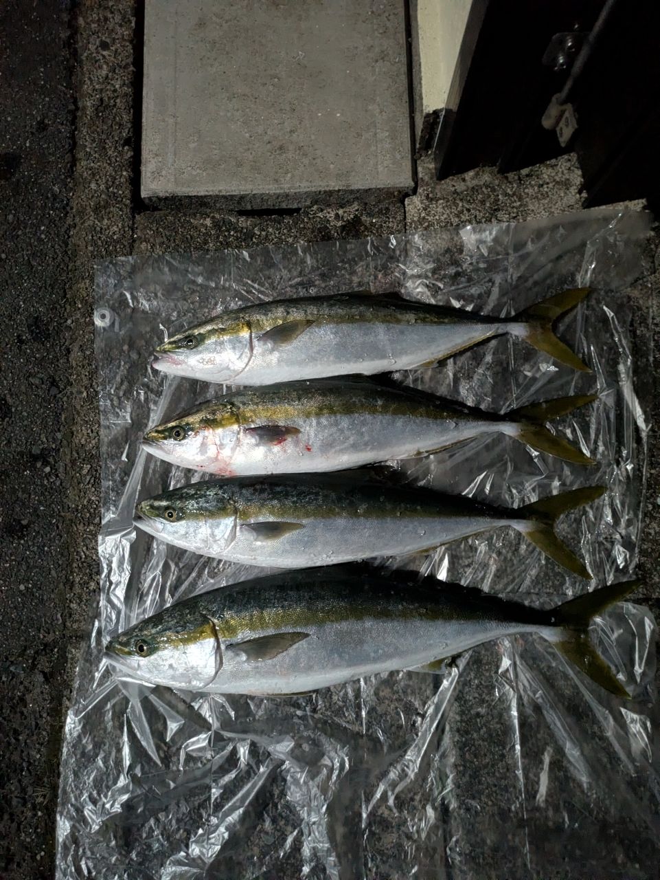 □美品□ ダイワ DAIWA マッドバイパーH/HH-245SMT DAIWA 13マッド