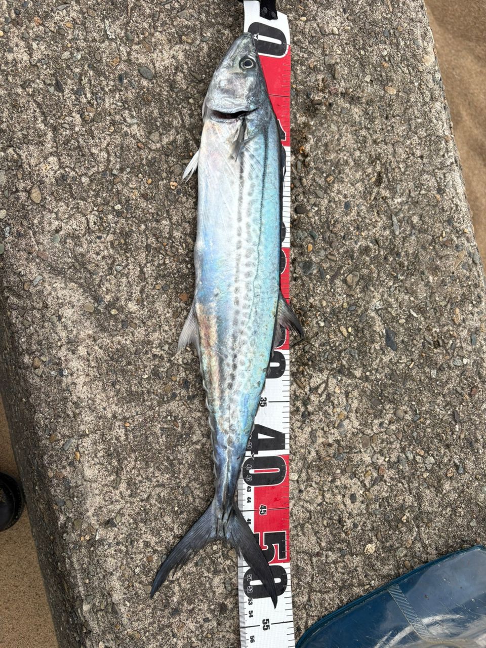 シマノ 23 ディアルーナ　S106MH 23ディアルーナはトラブルレスだが感度上昇に疑問が残る | Enoughfishing