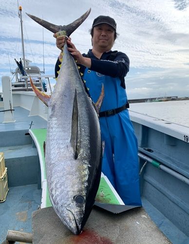 キハダマグロの釣果