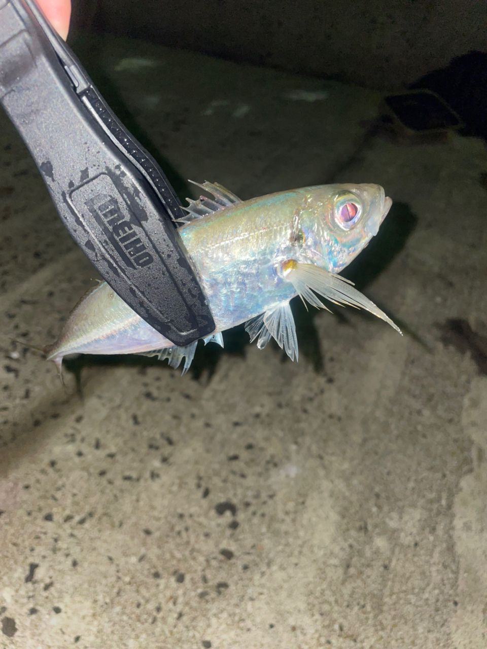 SHIMANO 21ソアレXR S68UL-Sの最安値・インプレ・釣果 | 本音の