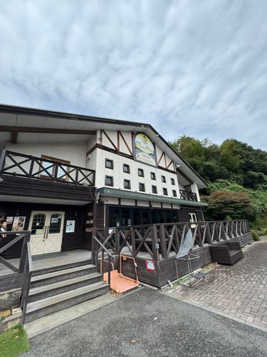 レインボートラウトの釣果