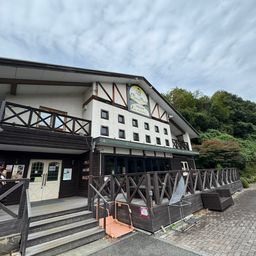 レインボートラウト