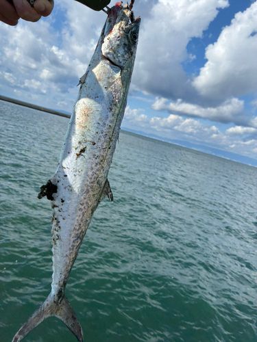 忠岡木材コンビナート