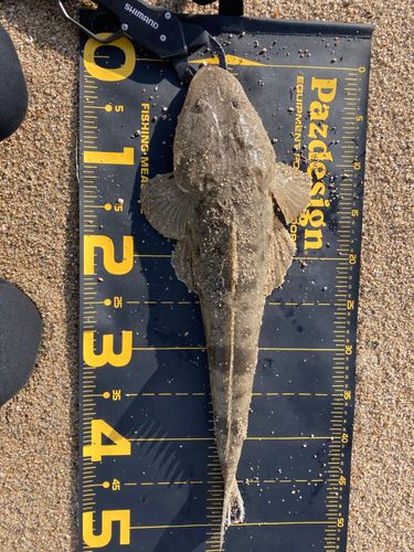 天神川河口（鳥取）