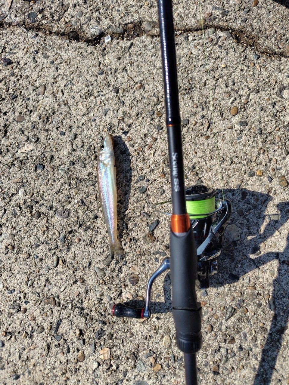 SHIMANO 22ソアレ SS S80L-Sの最安値・インプレ・釣果 | 本音の口コミ