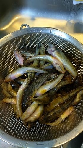 東京湾（アクアライン〜富津）