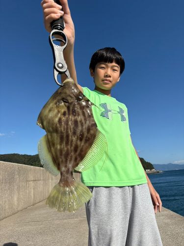 カワハギの釣果