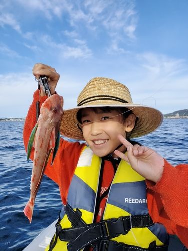 ホウボウの釣果