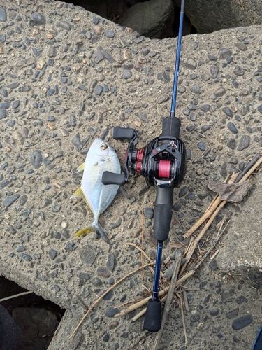 太田川河口（磐田）