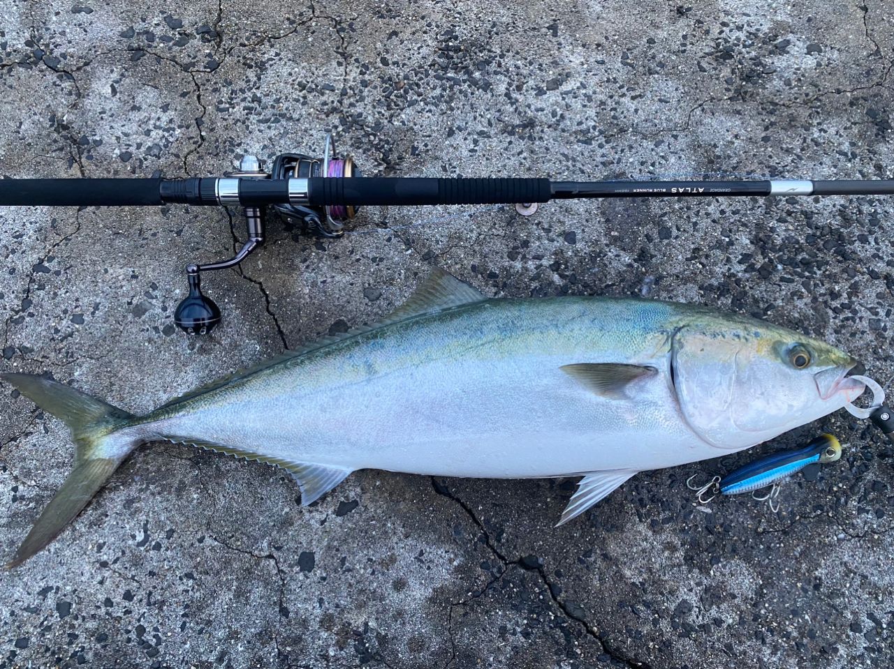 APIA グランデージ アトラス BLUE RUNNER 100HHの最安値