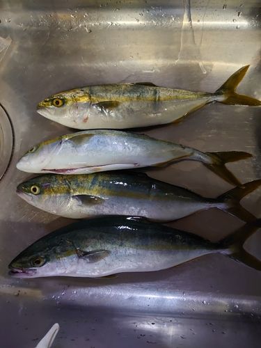 関門海峡（山口）