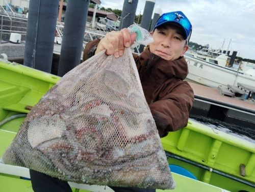 マダコの釣果
