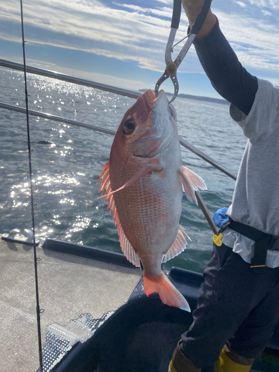 オトコマエさんの釣果 2枚目の画像