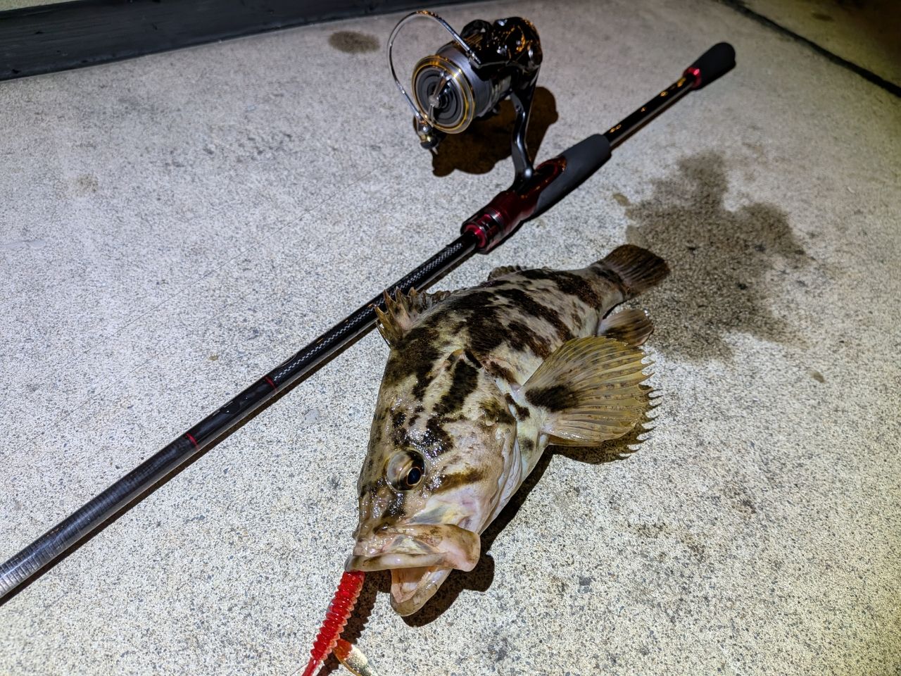 【希少】DAIWA HRF AIR 75ML-S ソリッドティップ 軽量ロッド 希少】DAIWA HRF AIR 75ML-S ソリッドティップ 軽量ロッド 希少】DAIWA