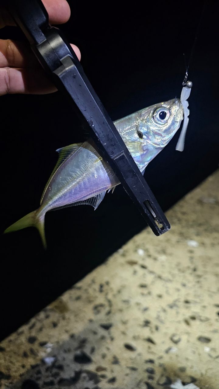 AbuGarcia ソルティーステージ プロトタイプ アジング XAJS-642ULSSの