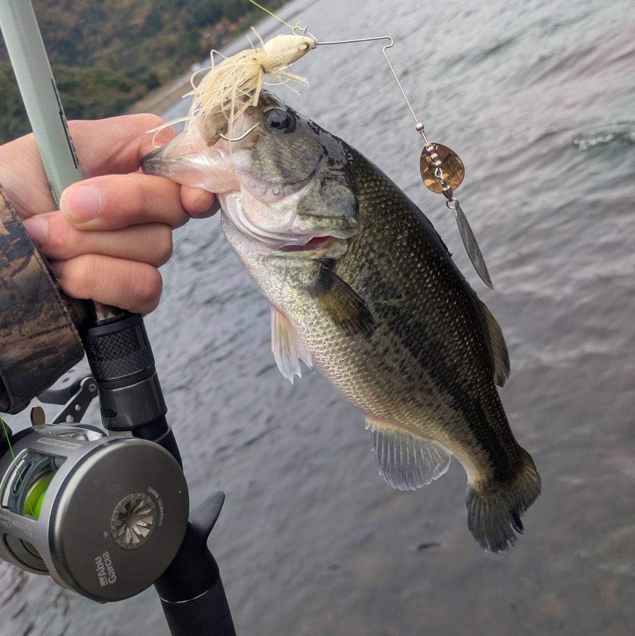 ラージマウスバス