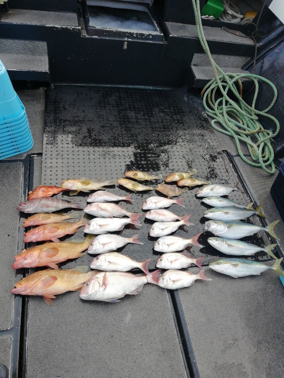 九三丸さんの釣果 3枚目の画像