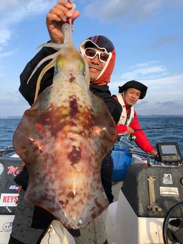 アオリイカの釣果