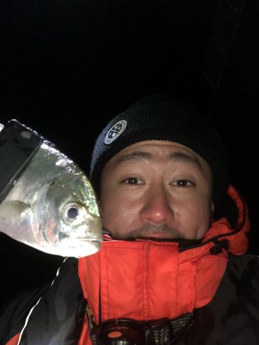 メッキの釣果