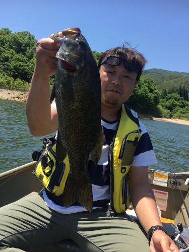 スモールマウスバスの釣果