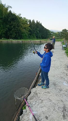 ニジマスの釣果