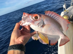 チカメキントキの釣果