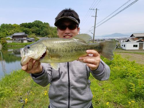 ブラックバスの釣果