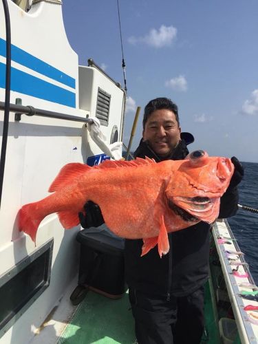 ベニアコウの釣果