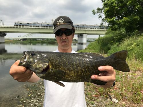 スモールマウスバスの釣果