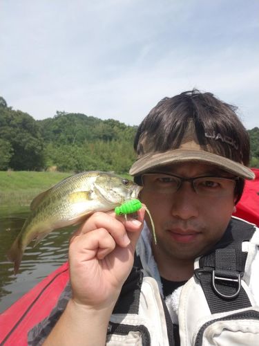 ブラックバスの釣果