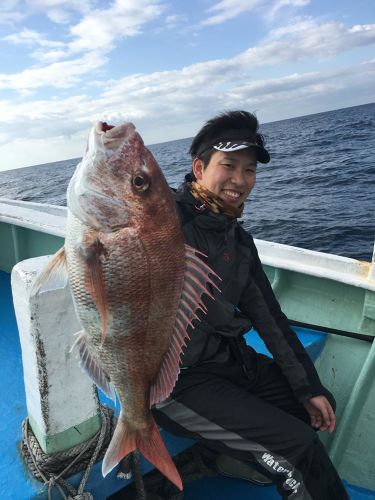 マダイの釣果