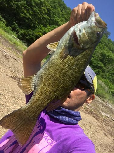 スモールマウスバスの釣果