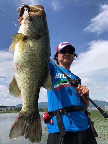 ラージマウスバスの釣果