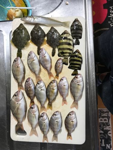 釣果