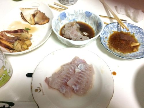 サバの釣果