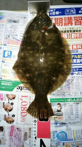 釣果