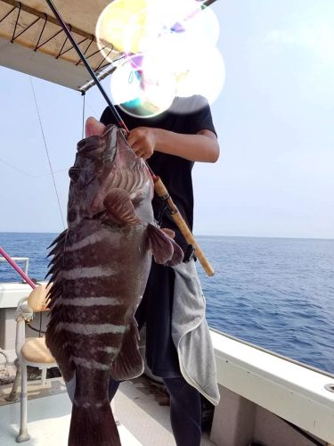 マハタの釣果