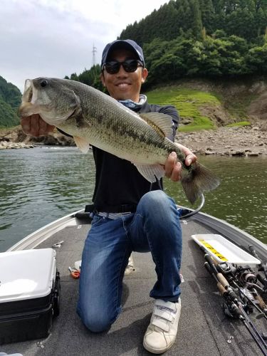 ブラックバスの釣果